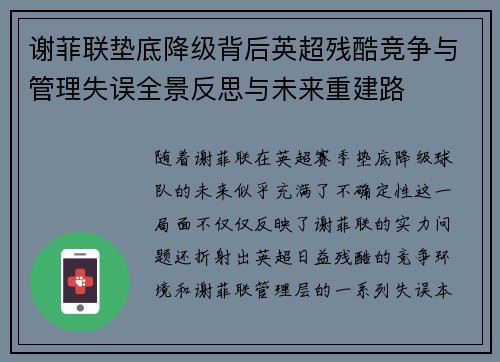 谢菲联垫底降级背后英超残酷竞争与管理失误全景反思与未来重建路 谢菲联垫底降级背后英超残酷竞争与管理失误全景反思与未来重建路