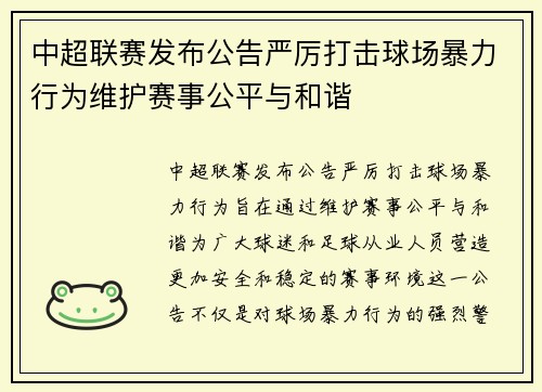 中超联赛发布公告严厉打击球场暴力行为维护赛事公平与和谐